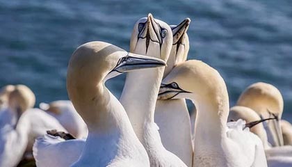 YY易游体育官网-马里不敌津巴布韦，小组排名恶化，马布里强不强