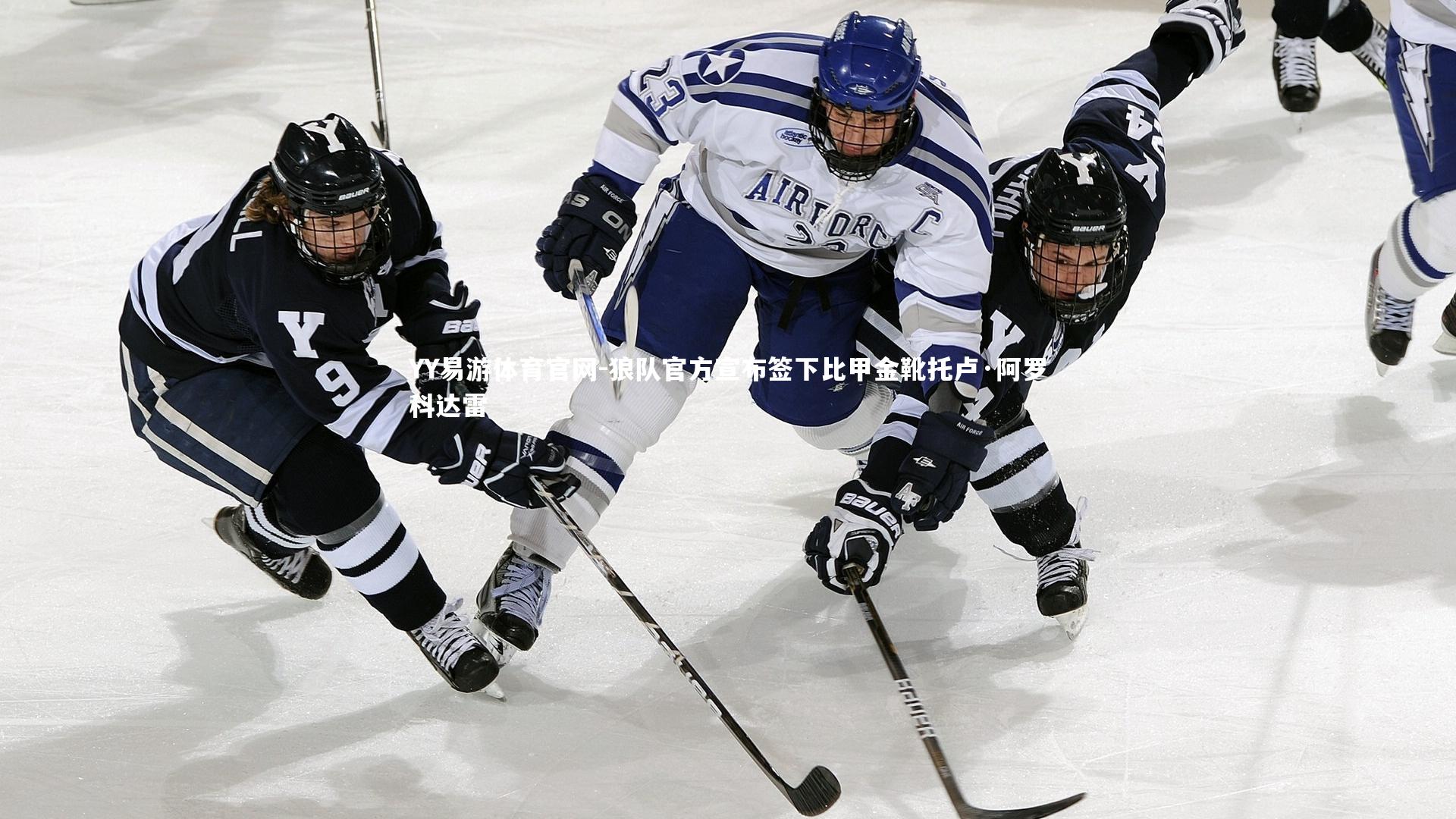 YY易游体育官网-狼队官方宣布签下比甲金靴托卢·阿罗科达雷